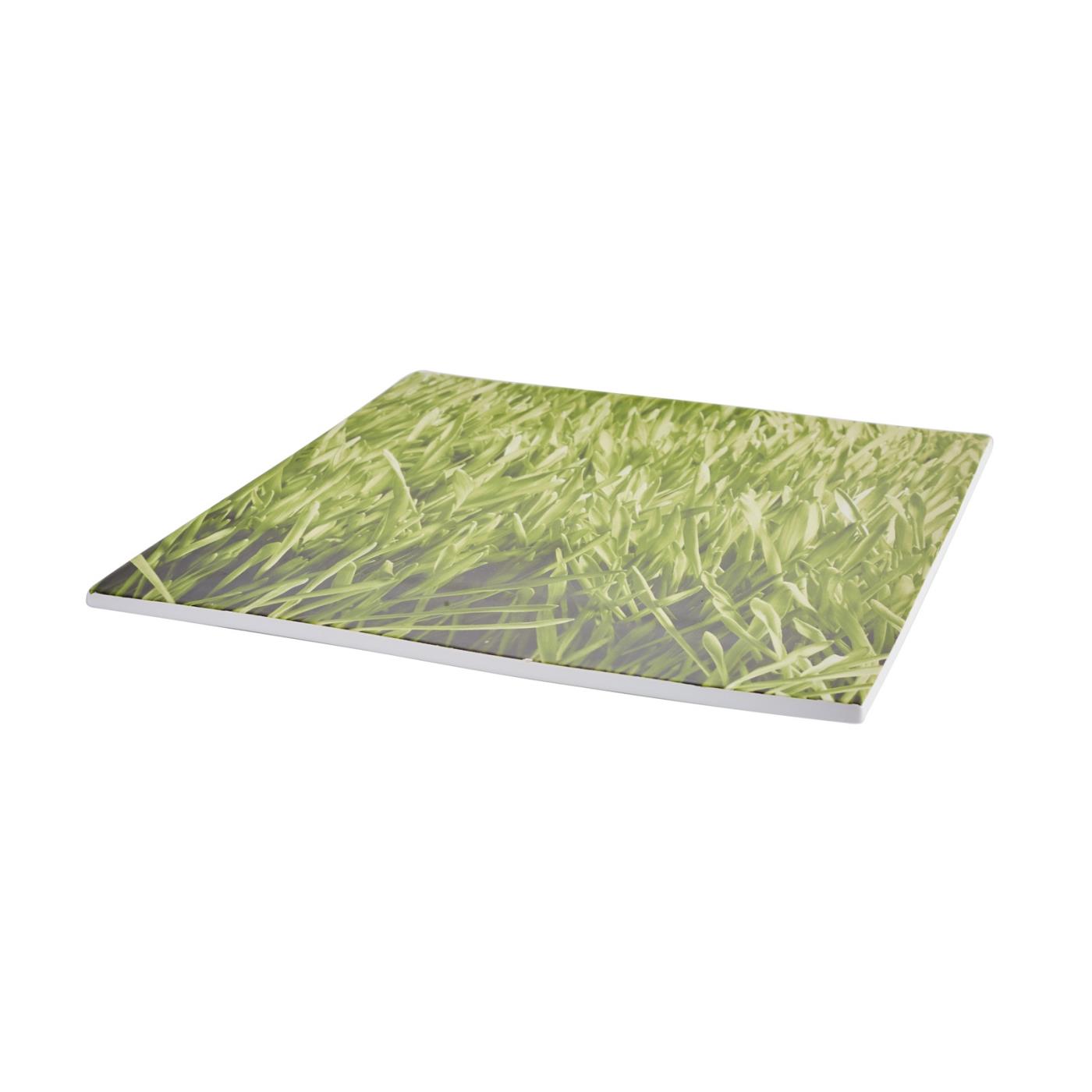 Grass Ceramic Square Platter 13