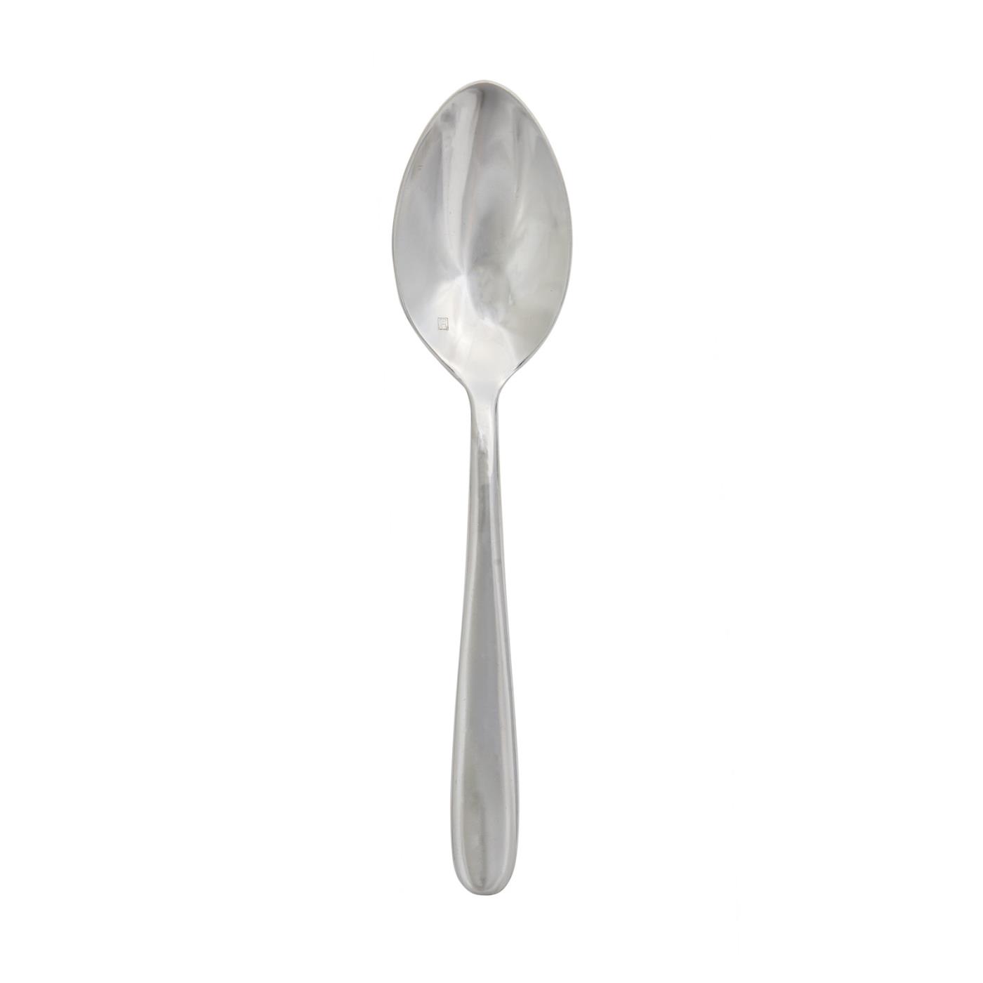 Stainless Steel Short Handle - Serving Spoon