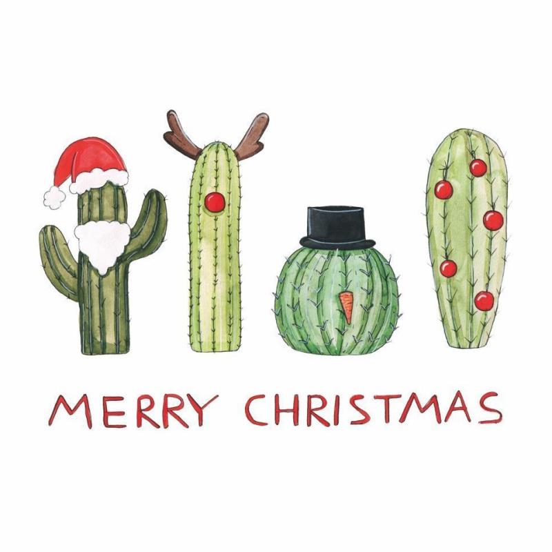 Christmas Cactus Paper Cocktail Napkins