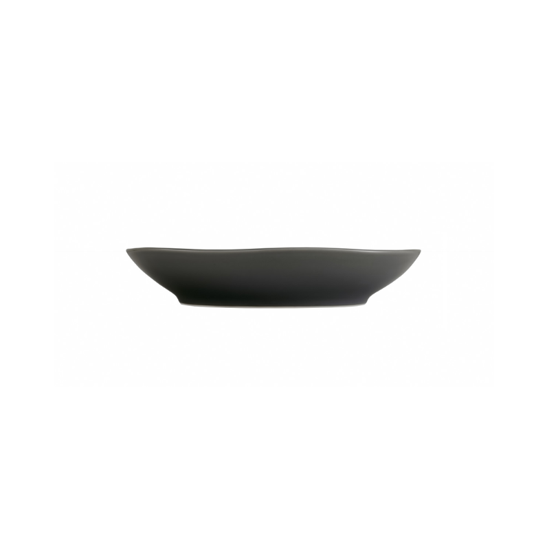 Terra Black Collection - Black Pasta Bowl 9"