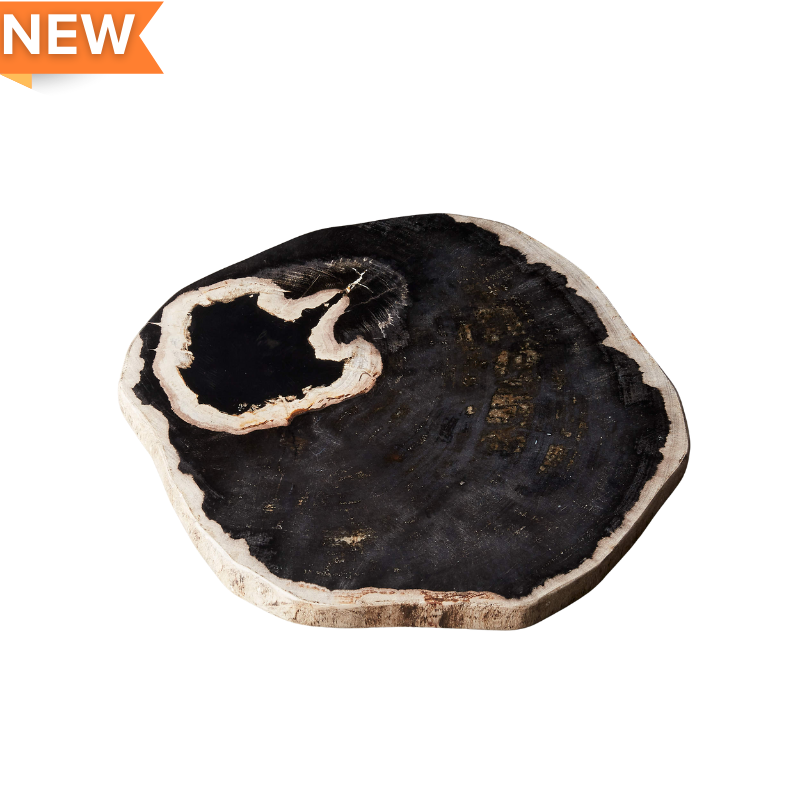 Petrified Wood Cheese Board 12