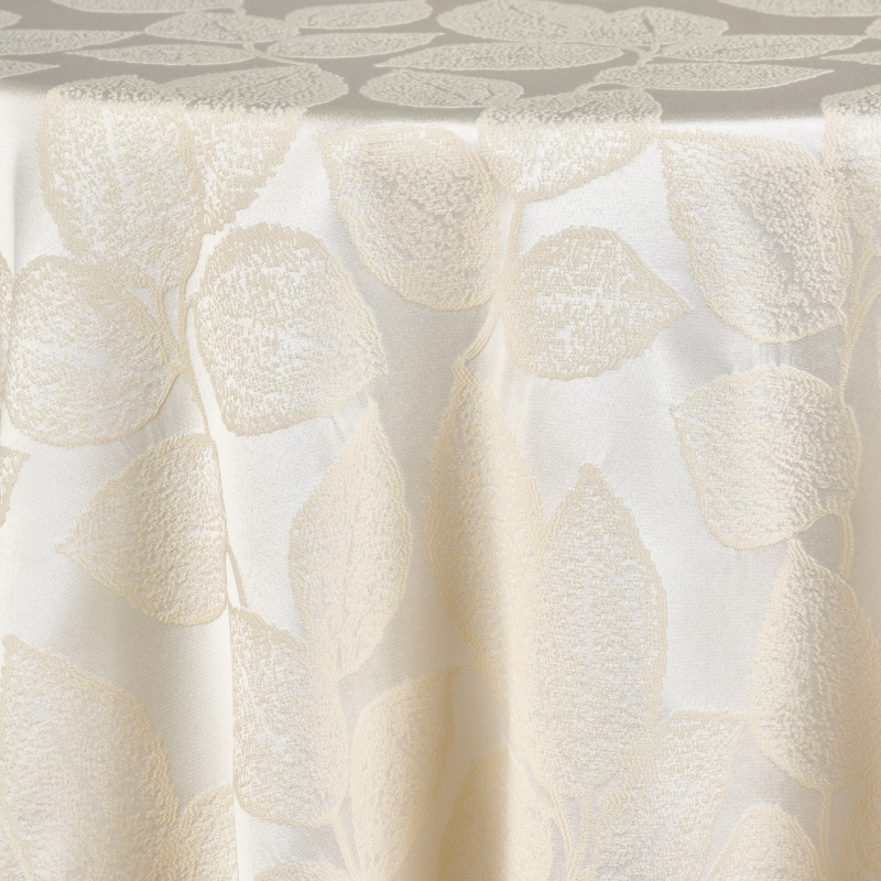 Fiola Ivory